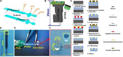 A Modified Miniscope System for Simultaneous Electrophysiology and Calcium Imaging in vivo